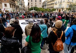 Concentración a favor del valenciano organizada por la Plataforma en Defensa de la Enseñanza Pública.