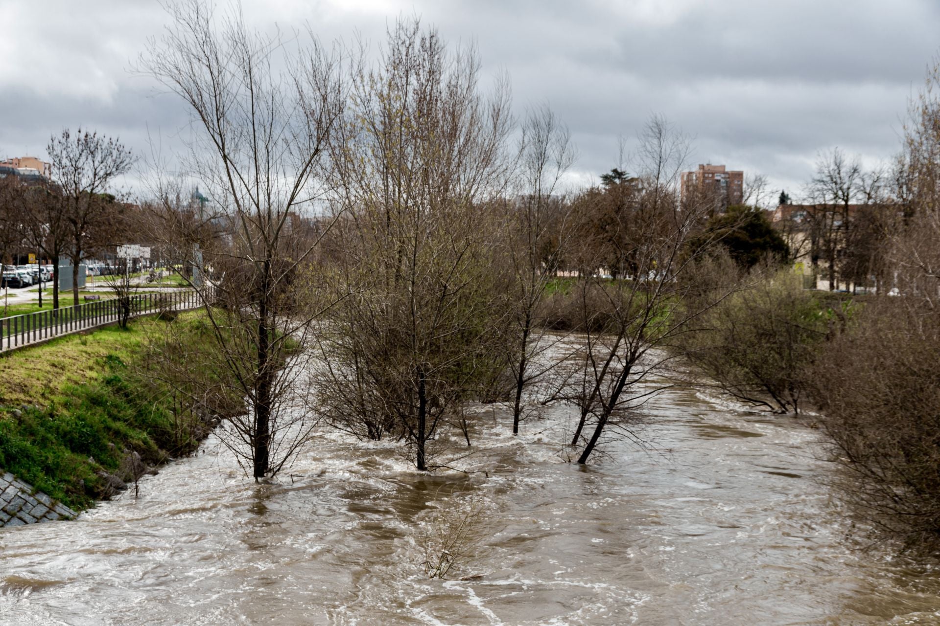 Así baja el río Manzanares, una imagen nunca vista