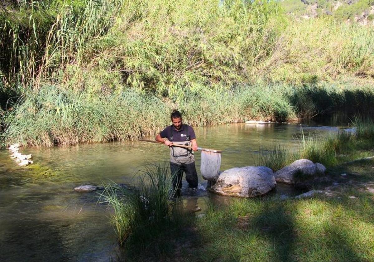 LTL se encarga de garantizar la calidad, inocuidad y buen estado de todo tipo de aguas.