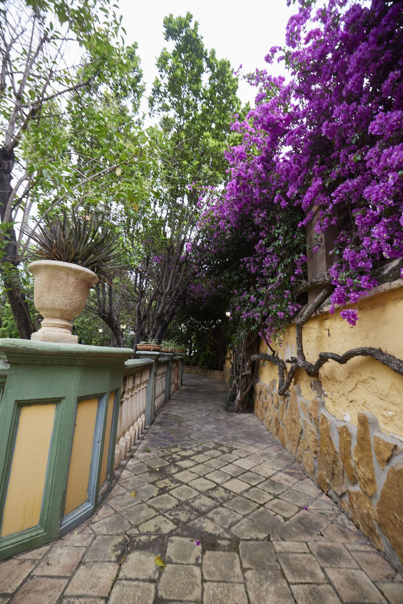 FOTOS | Así es por dentro Villa Amparo, el chalet okupado en Rocafort