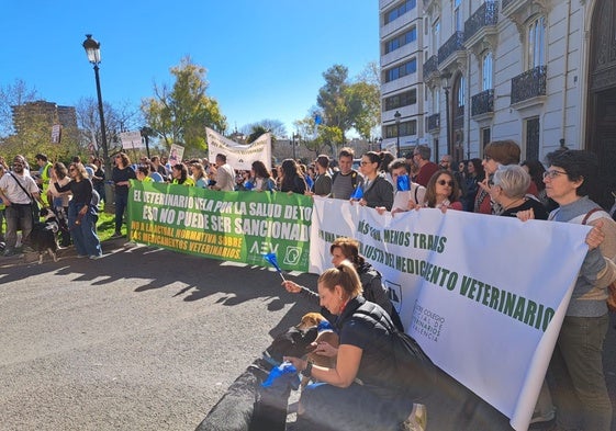 Protesta de los veterinarios de Valencia este miércoles ante la Delegación del Gobierno.