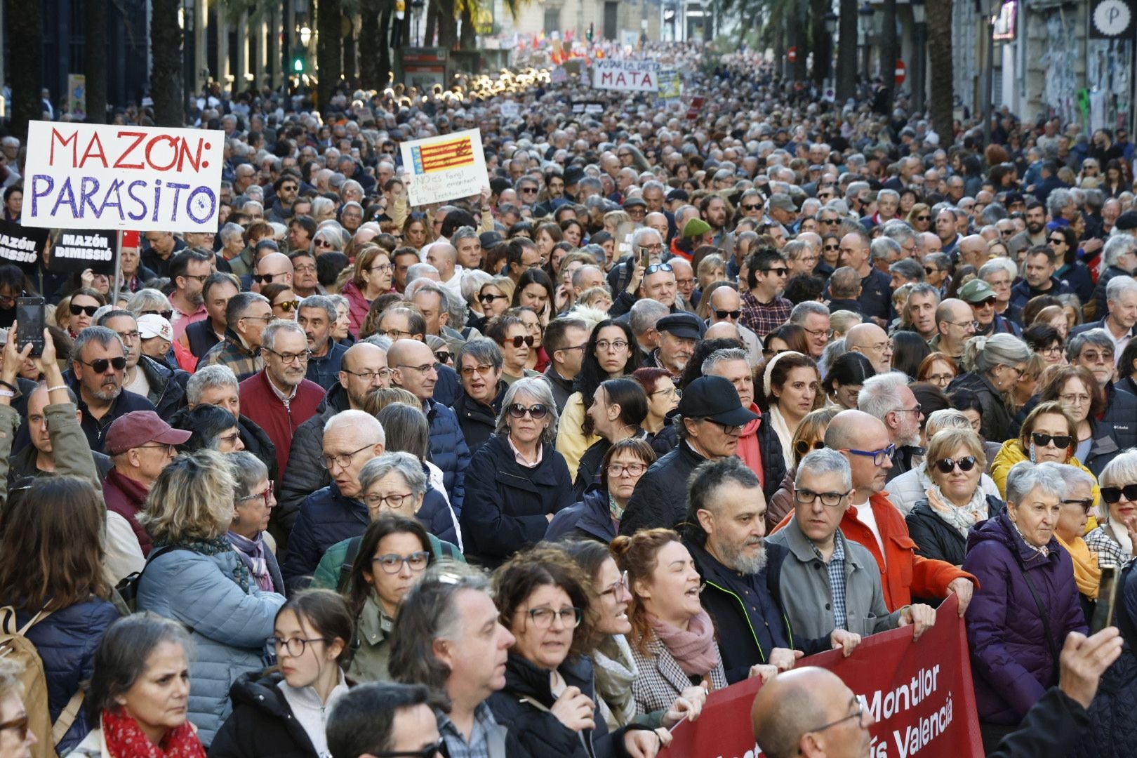 FOTOS | Sexta manifestación en Valencia contra la gestión política de la dana