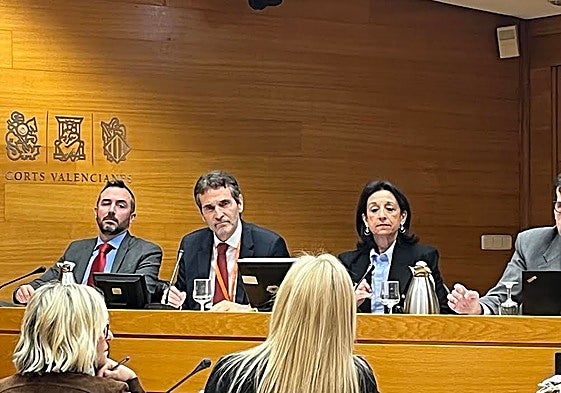 Ordaz, durante su intervención en Les Corts.