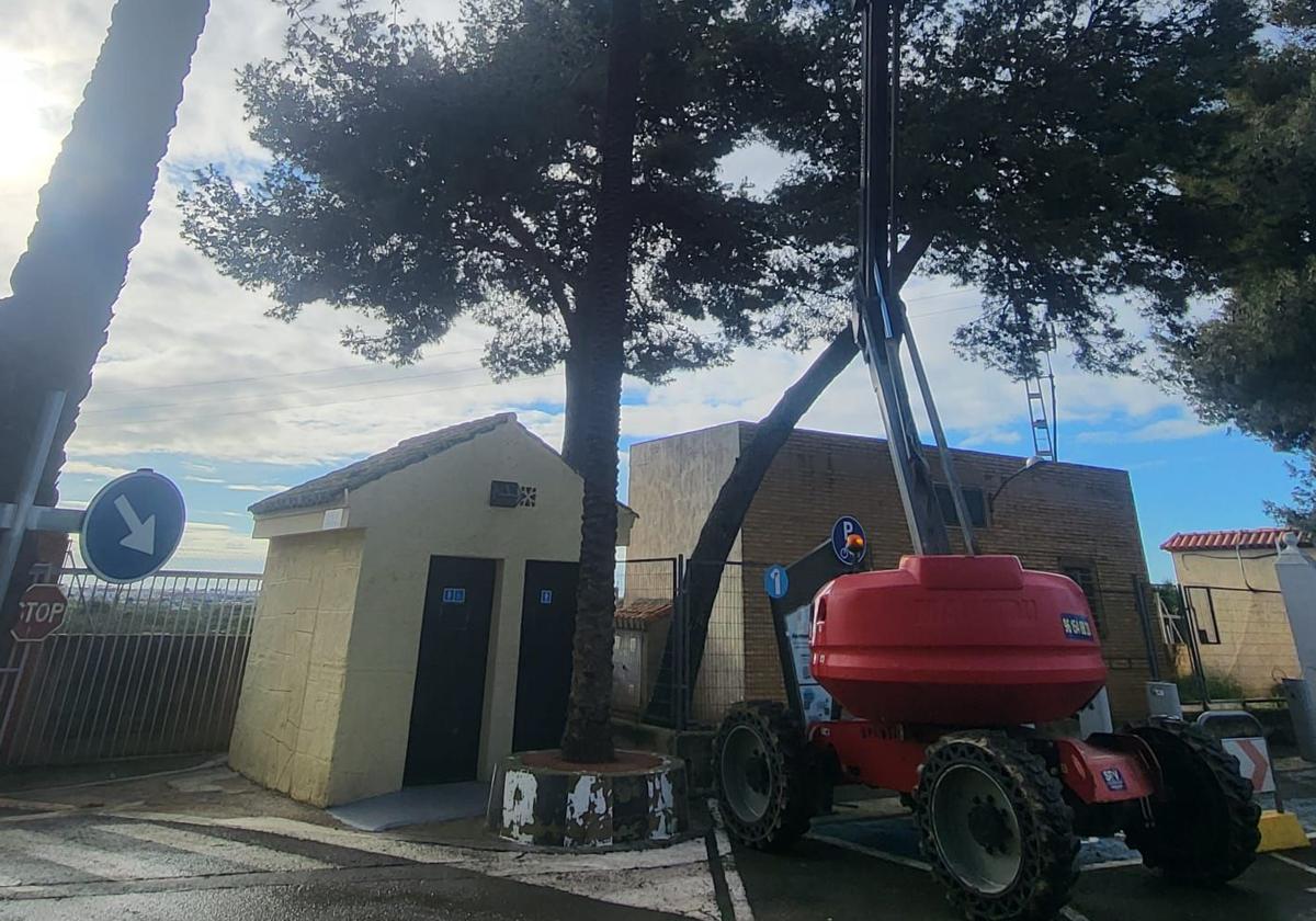 Plataforma para los tratamientos contra la procesionaria.