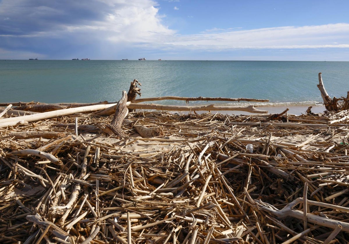 Acumulación de cañas en una de las playas del sur de la ciudad, en una imagen anterior a la limpieza.