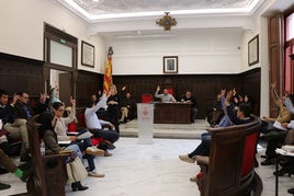 Un momento del pleno.