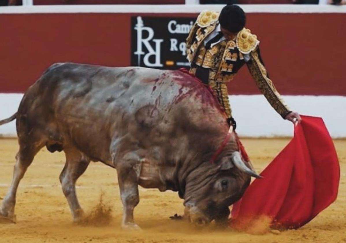 El torero Rafael de Julia durante una corrida.