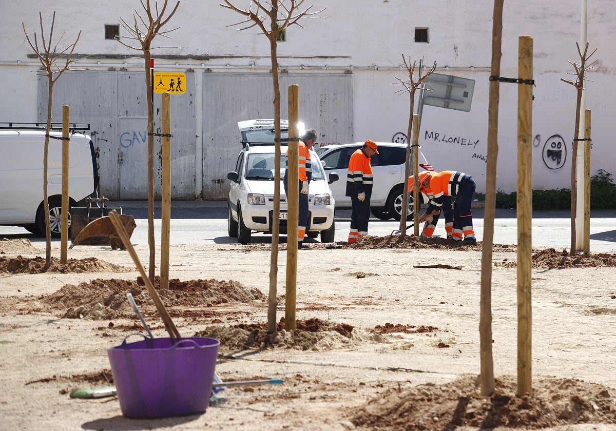 Plantación de árboles por la Brigada Municipal.
