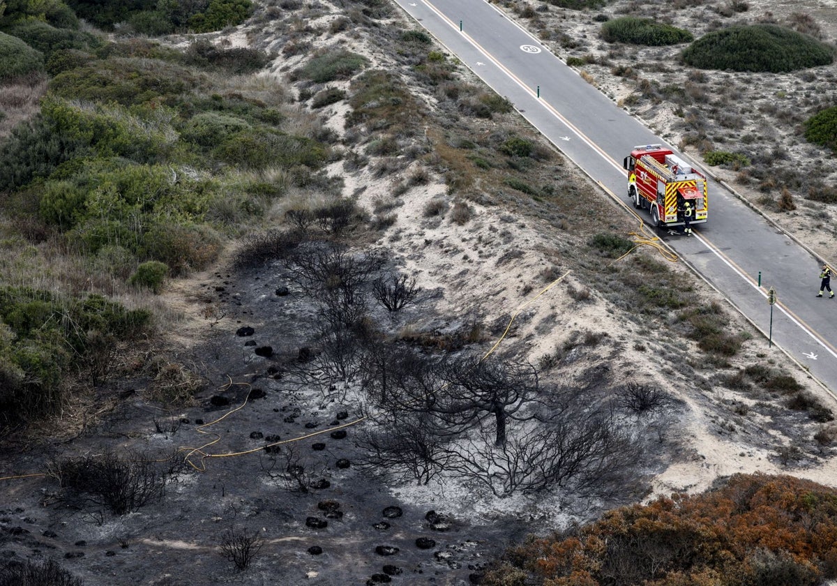 Uno de los incendios que se registró en la Devesa de El Saler.