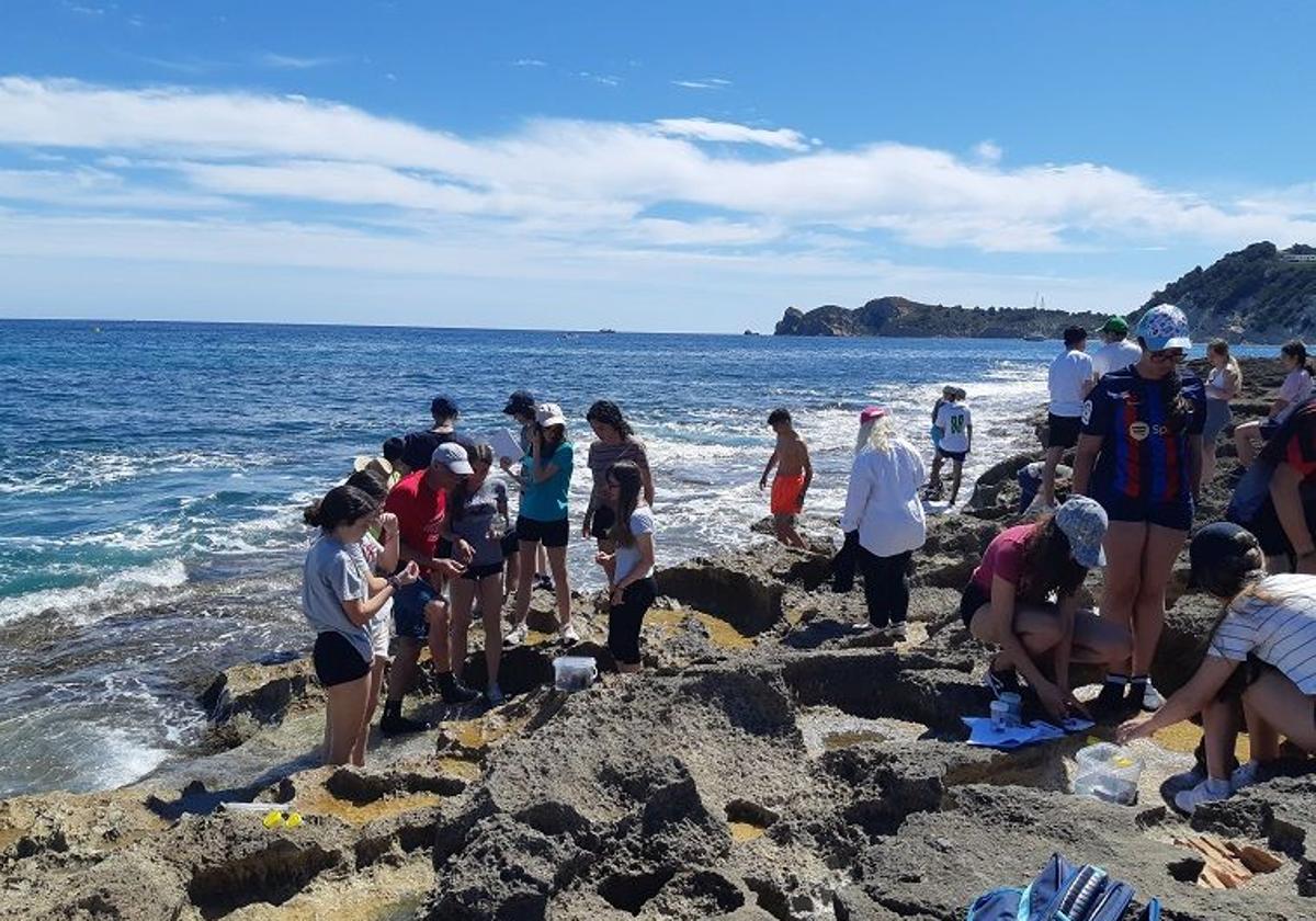 Oceanus: Un ocio diferente que te conectará con el mar