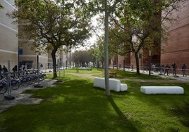 FOTOS | Brotes verdes en la Universitat de València