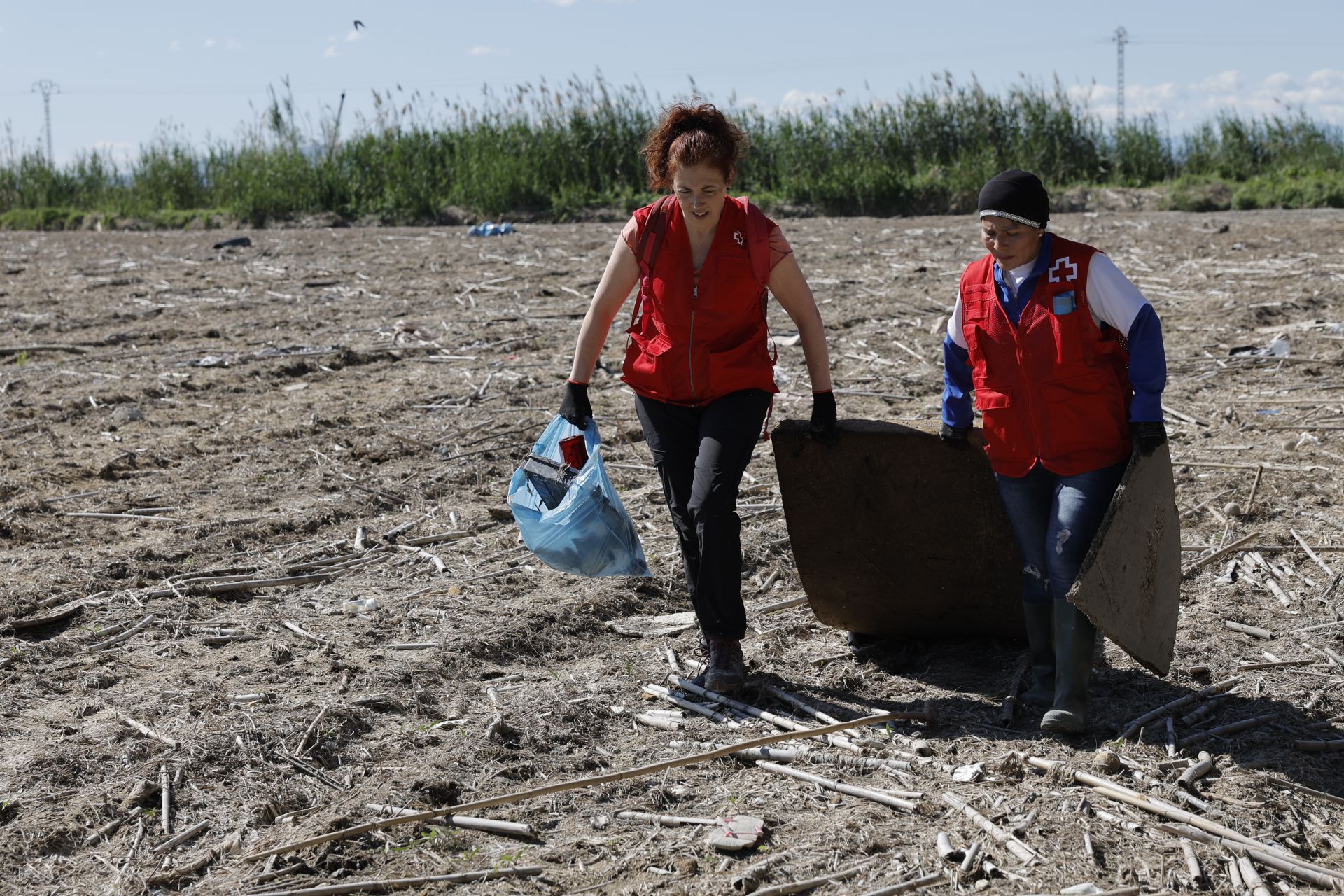 FOTOS | Así se limpia a mano un arrozal de la Albufera
