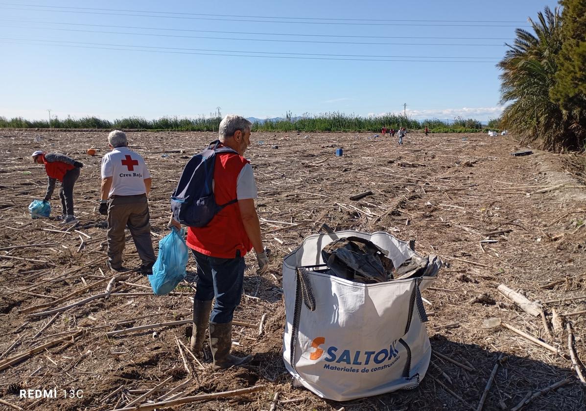 Así se limpia a mano un arrozal de la Albufera