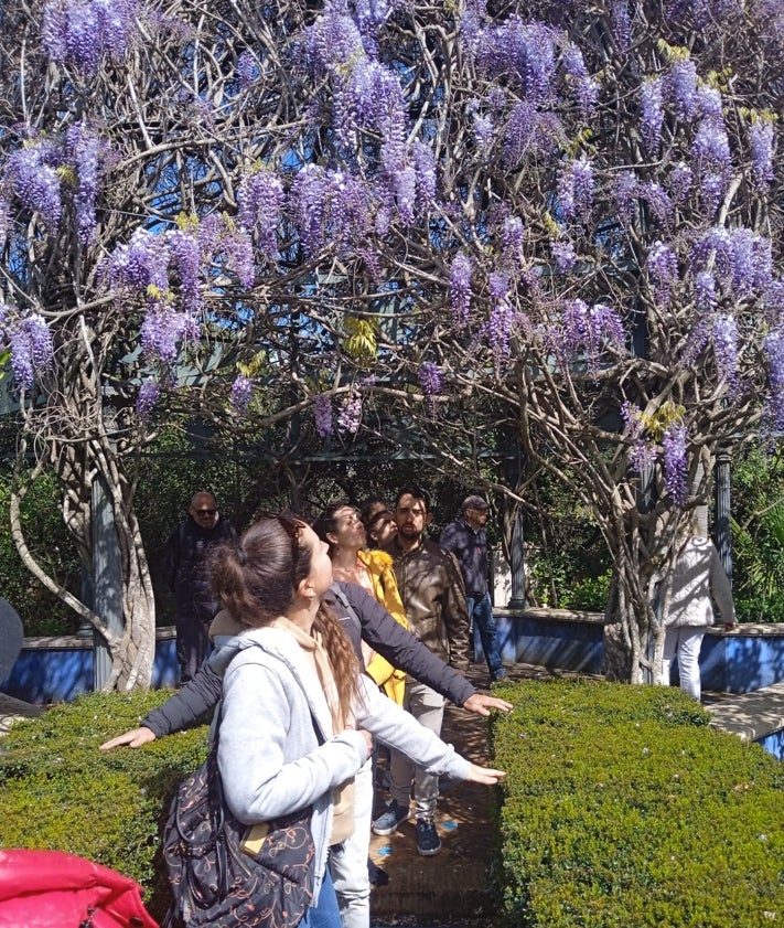 Imagen secundaria 2 - El paraíso a una hora de Valencia: un increíble jardín en Pedreguer