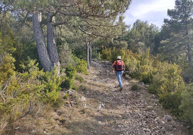 GR7 a su paso por Fredes.