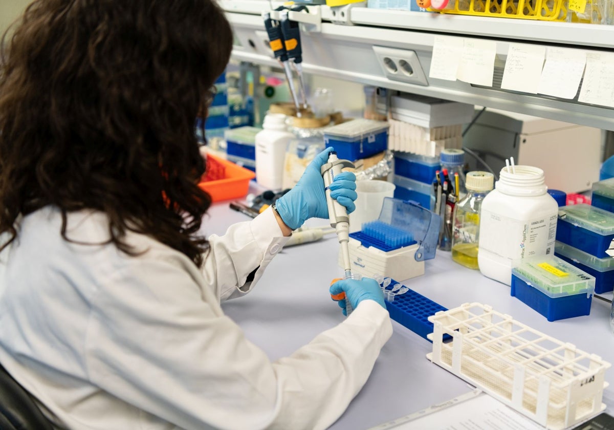 Europa financia proyectos de la UPV sobre telemedicina, el control de la salud mediante el sudor o terapias inmunológicas