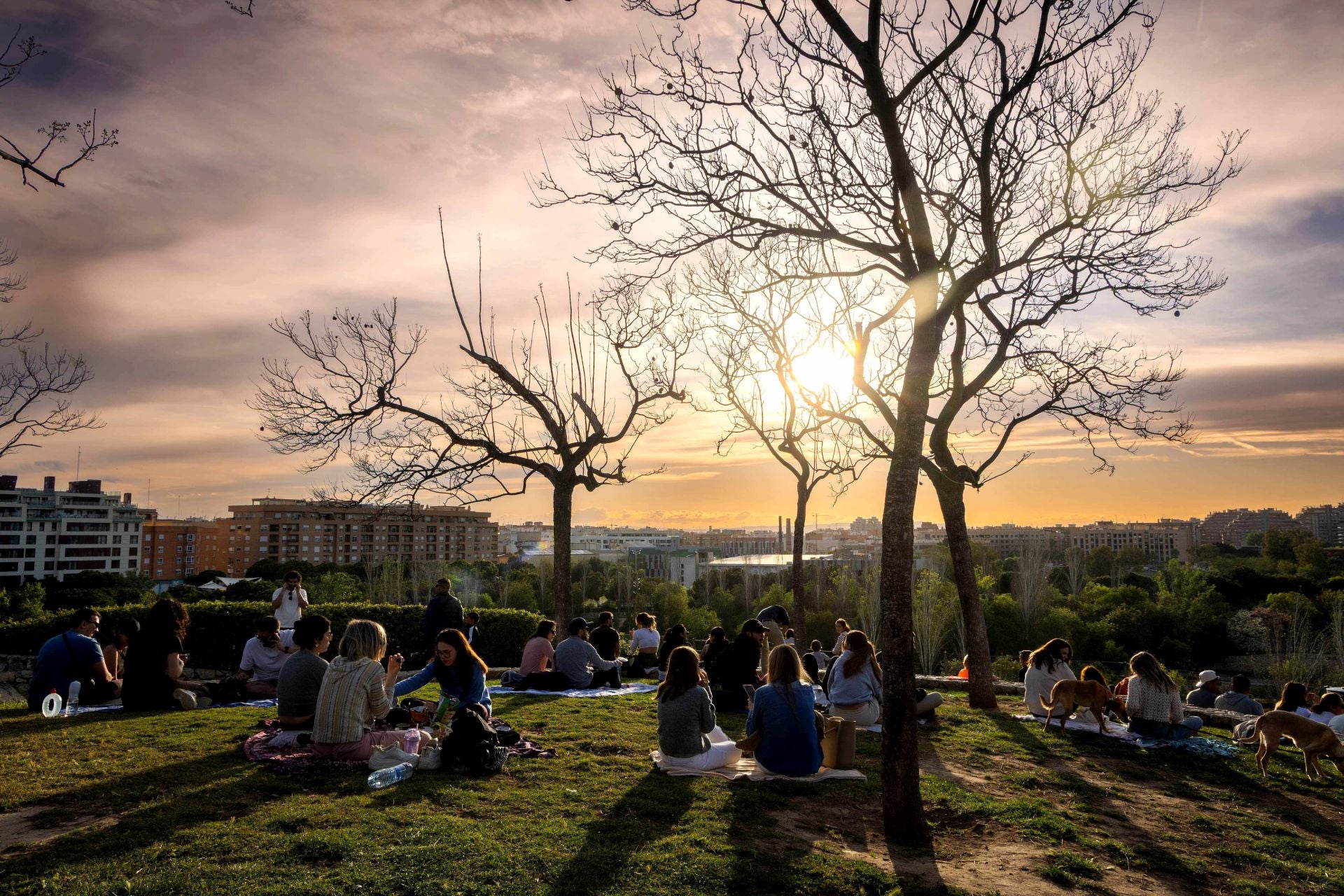 FOTOS | Así es el sitio de moda para ver el atardecer (sunset) en Valencia