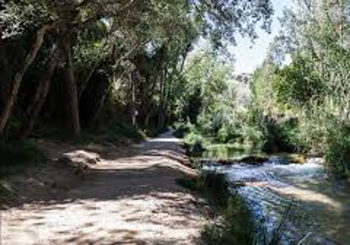 Un tramo de uno de los caminos por los que transcurre la ruta.