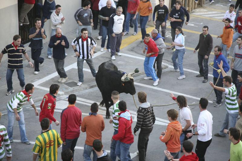 Fin de semana de festejos taurinos en la Costera y la Vall d'Albaida
