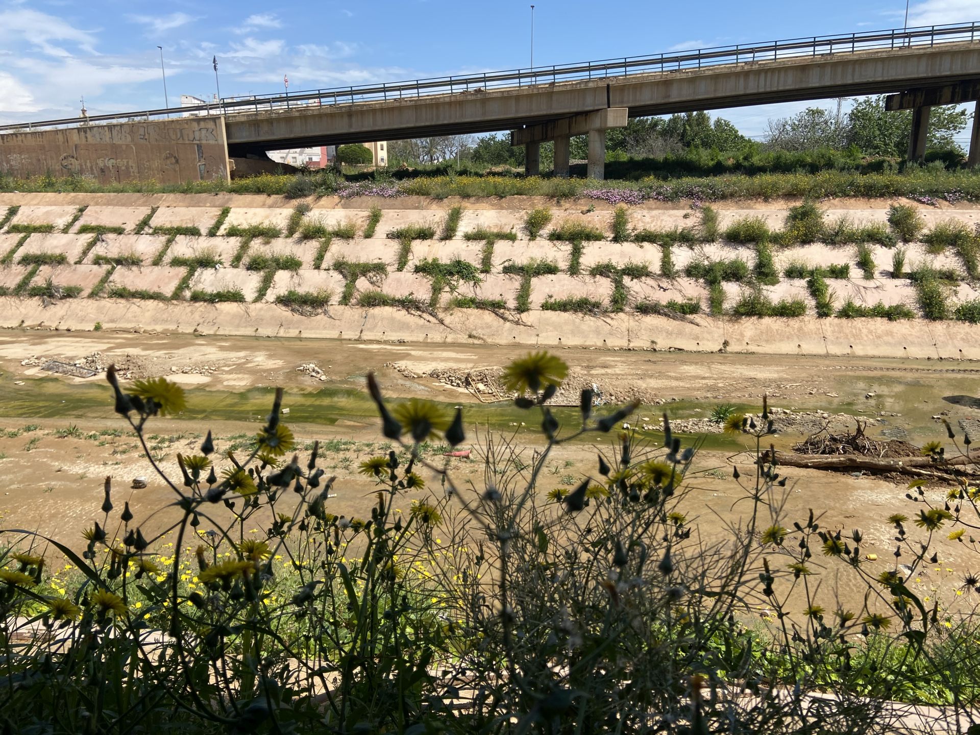 Imagen principal - El barranco del Poyo, lleno del flores. Abajo, carteles que anuncian que los negocios han reabierto