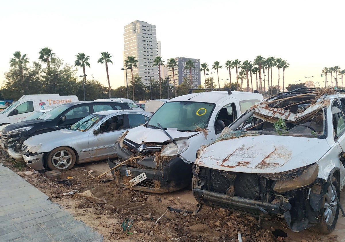 Valencia clausura todas las campas de coches de la dana