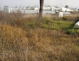 Solar abandonado con maleza.