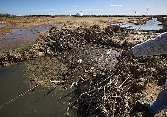 Efectos de la dana sobre la Albufera.