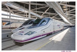 Tren de Alta Velocidad (AVE).