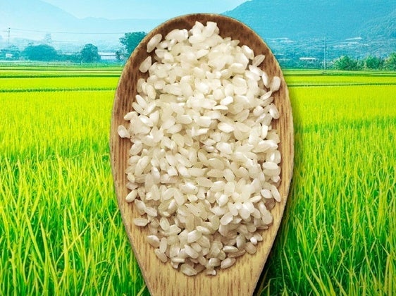 La imagen que ilustra el cartel de la Jornadas Gastronómicas.