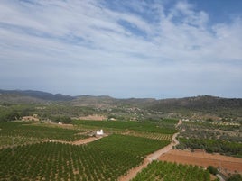 Valle junto a la Sierra Calderona donse se proyecta la planta solar.