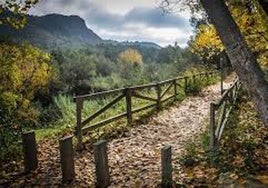 Uno de los senderos de la ruta.