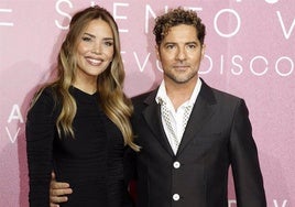 David Bisbal y Rosanna Zanetti en una imagen de archivo.