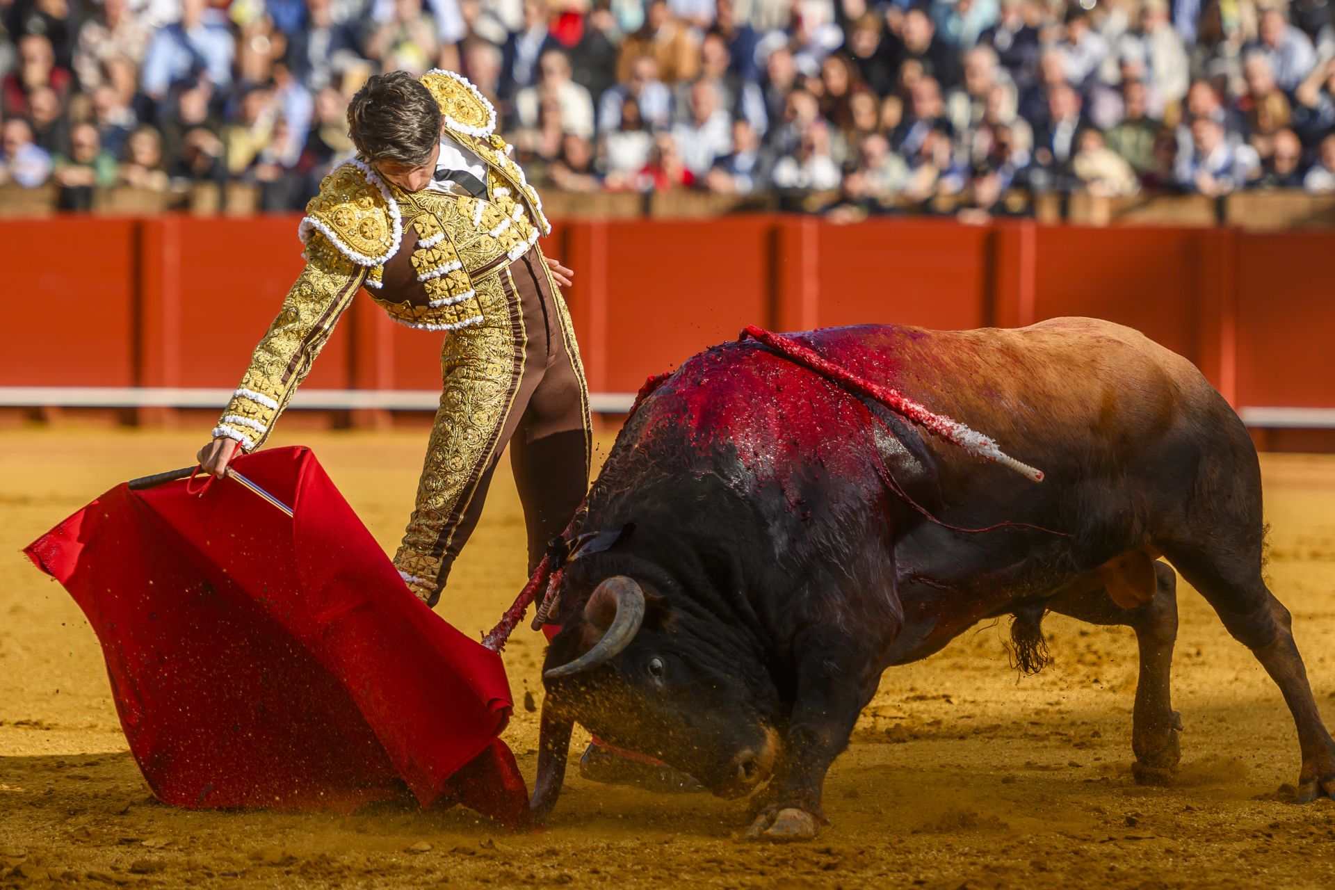 FOTOS | Así ha sido la corrida de toros de hoy en Sevilla (2 de mayo)
