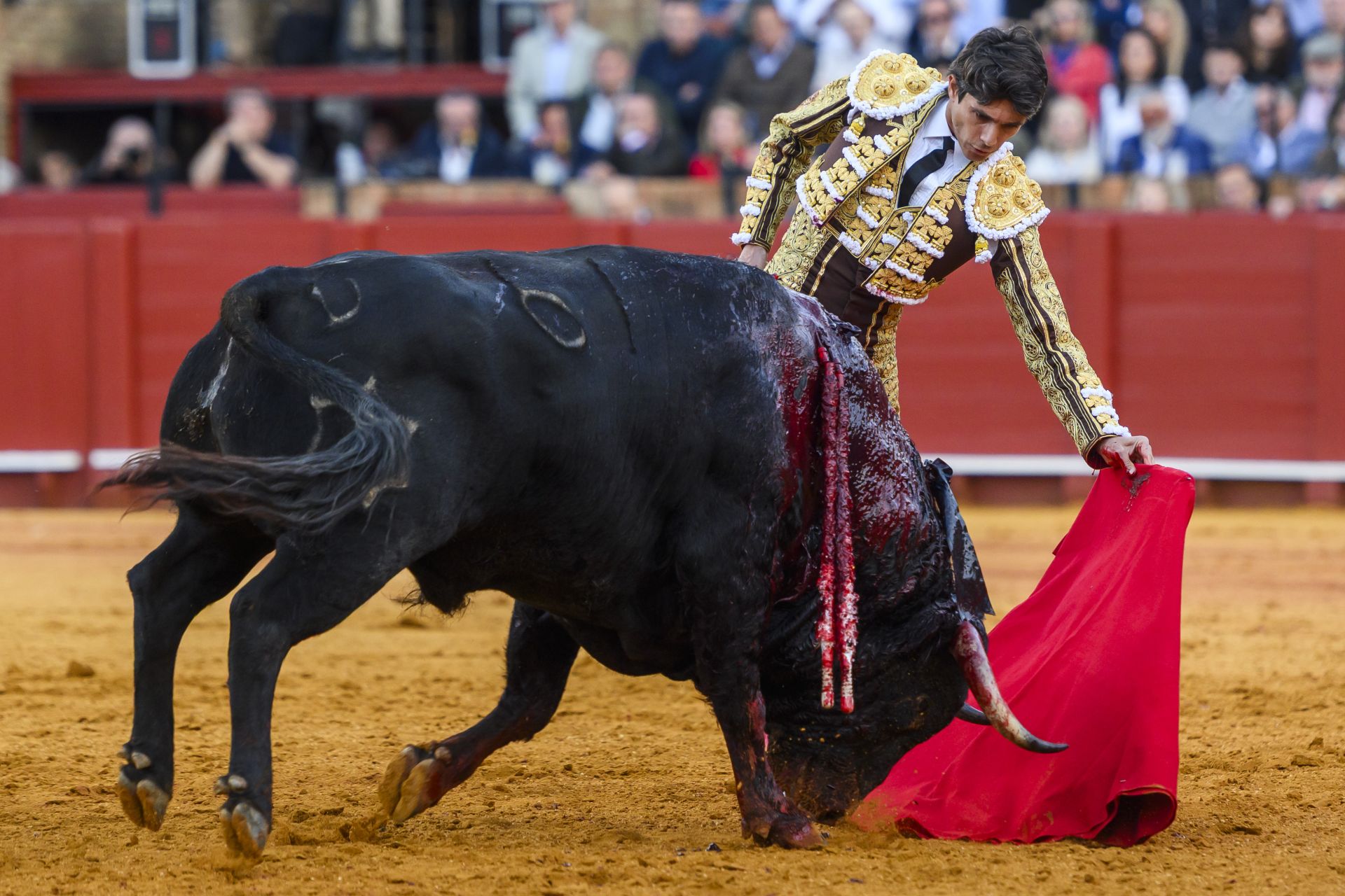 FOTOS | Así ha sido la corrida de toros de hoy en Sevilla (2 de mayo)