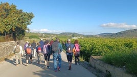 Senderistas participantes en la marcha por la zona donde se ubiaría la planta fotovoltaica.