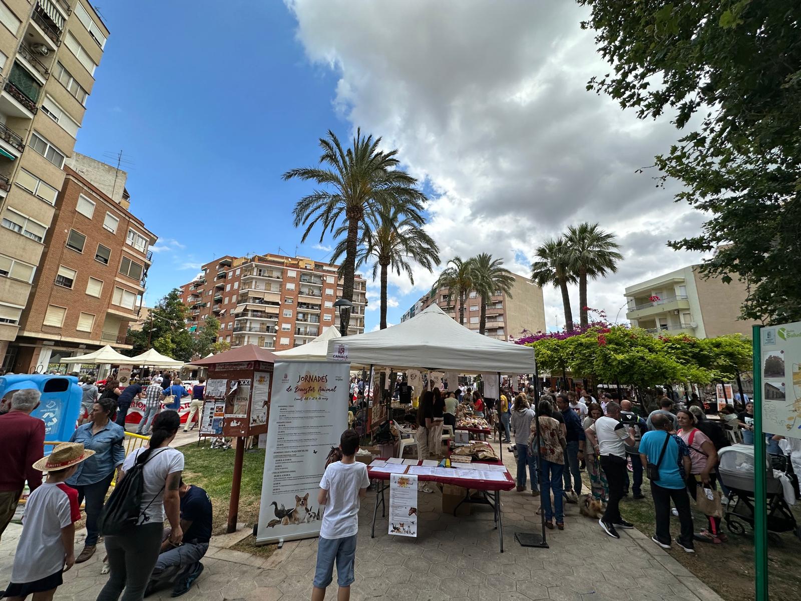 Imagen principal - Diferentes actividades realizadas en la I Feria celebrada en 2024.