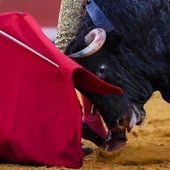Feria de San Isidro: ¿Cómo ver gratis por televisión todas las corridas de toros de 2025?