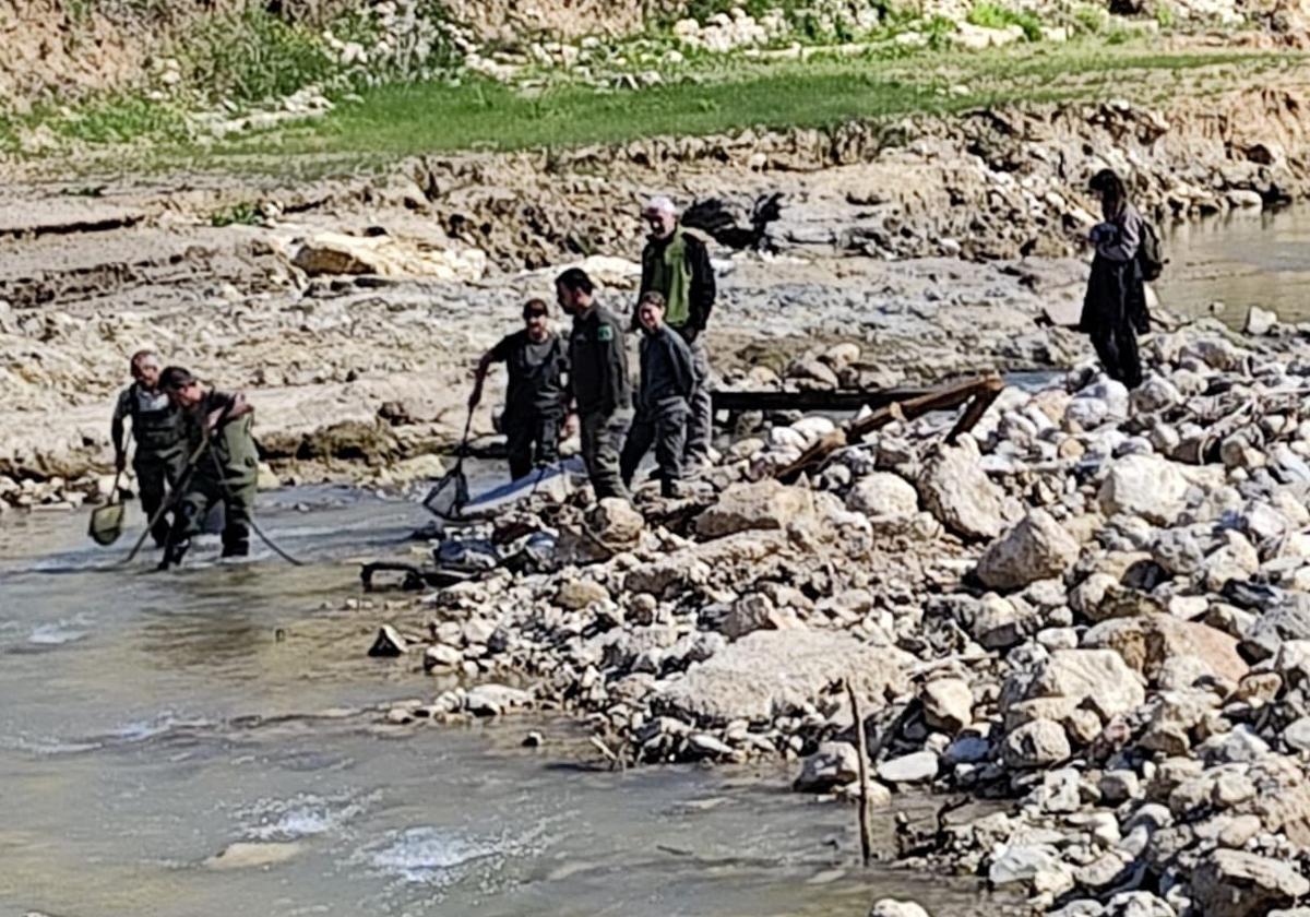 Medio ambiente investiga la fauna que se salvó en el río del parque de chera | las provincias