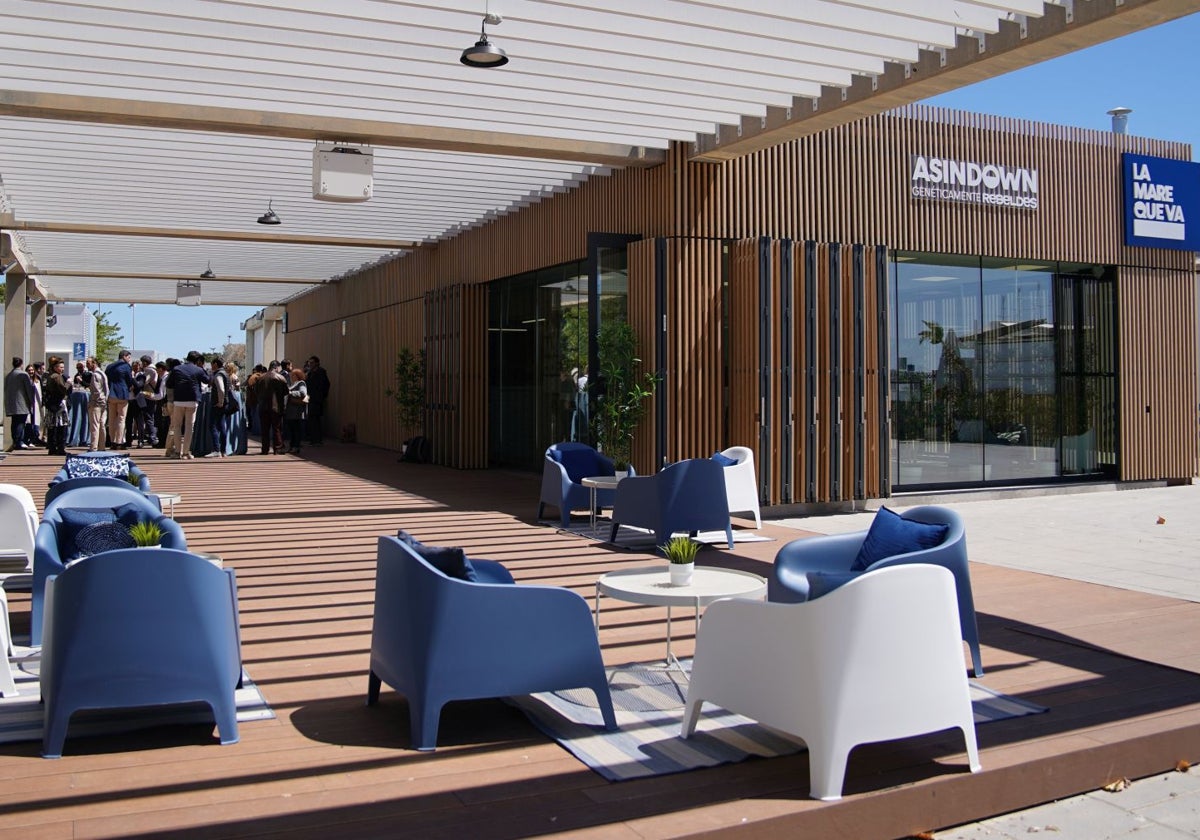 La ampliación de la escuela de hostelería de la Marina permitirá formar a más de medio centenar de personas con discapacidad