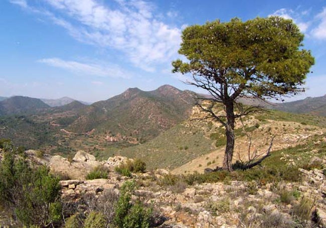 Vistas del paisaje desde el Pico del Águila.