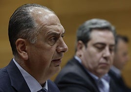 El conseller en un momento de su comparecencia.