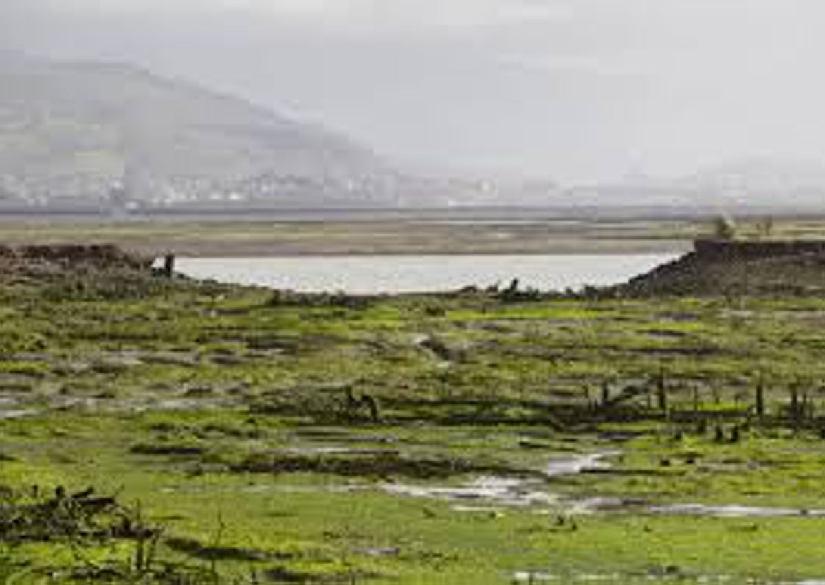 Imagen secundaria 1 - Imágenes del Delta del Ebro, Santoña e Islas Atlánticas, tres valiosos humedales españoles.