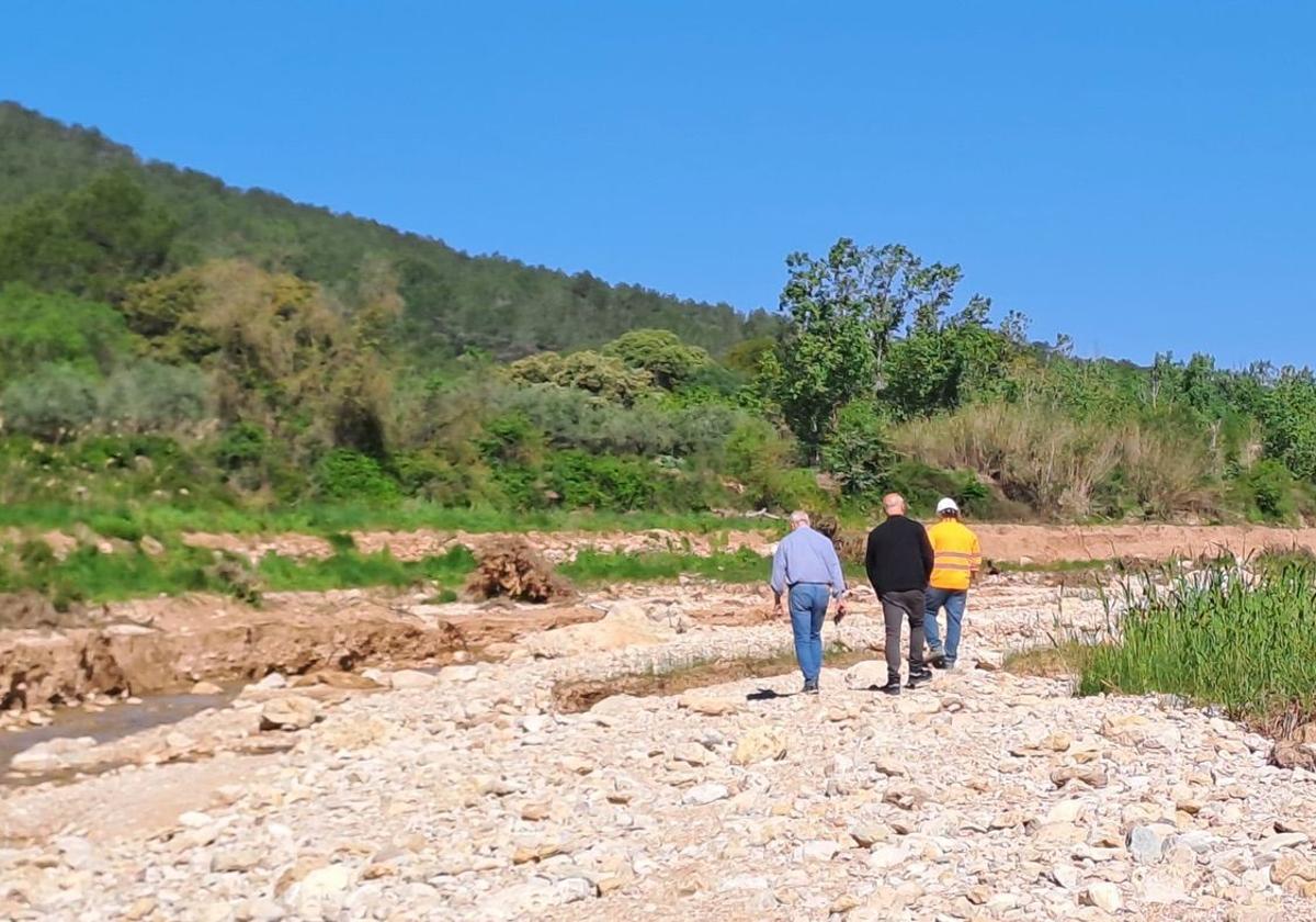 Una empresa reforestará 20 hectáreas en Yátova para compensar el CO2