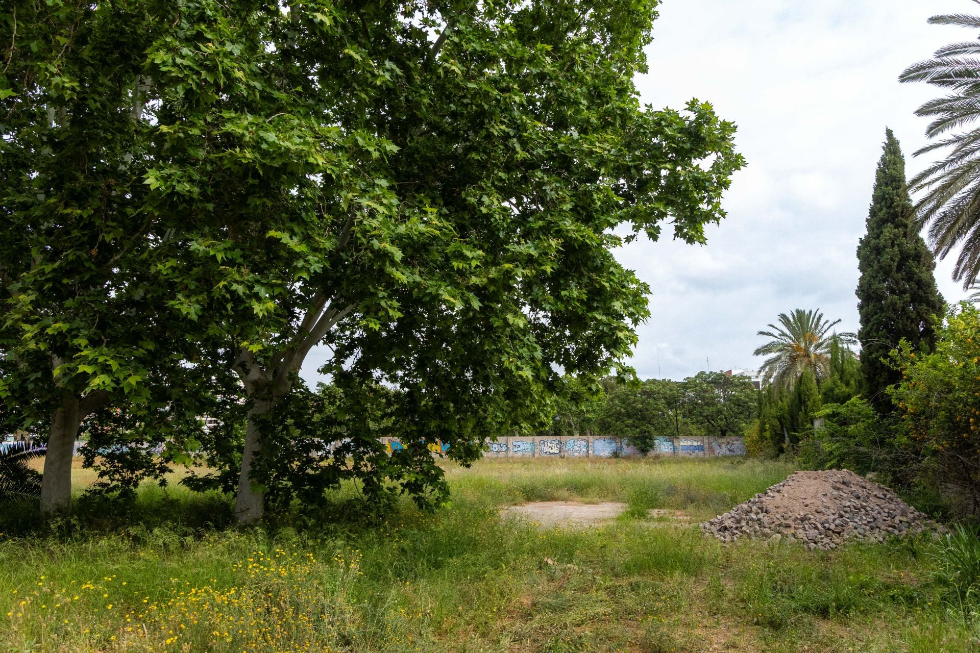 FOTOS | Comienzan las obras del nuevo jardín del solar de Jesuitas de Valencia