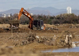 Una excavadora retira sedimentos de la dana en la Albufera.