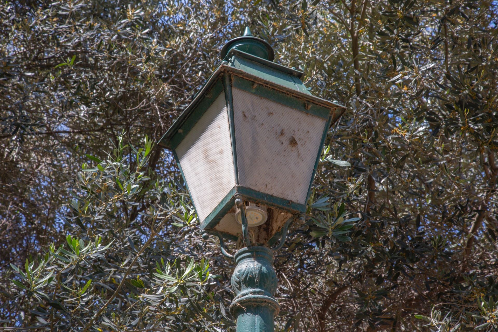 FOTOS | Dejadez y desperfectos en los jardines de Viveros de Valencia