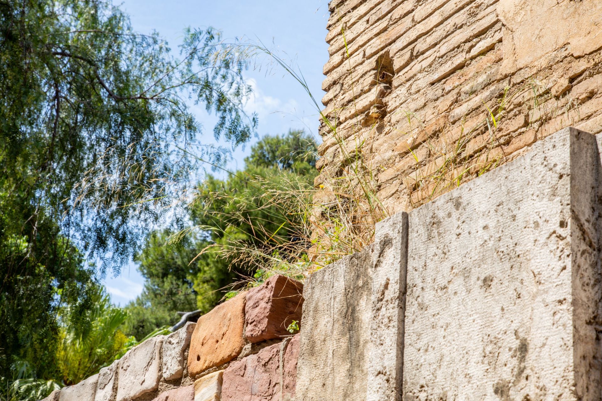 FOTOS | Dejadez y desperfectos en los jardines de Viveros de Valencia