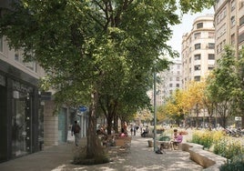 Proyecto de reforma de la avenida del Oeste.