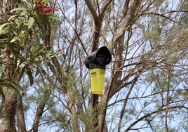 Una de las trampas para avispas colocadas junto al puerto de Catarroja.