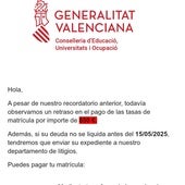 Captura de pantalla del email fraudulento.